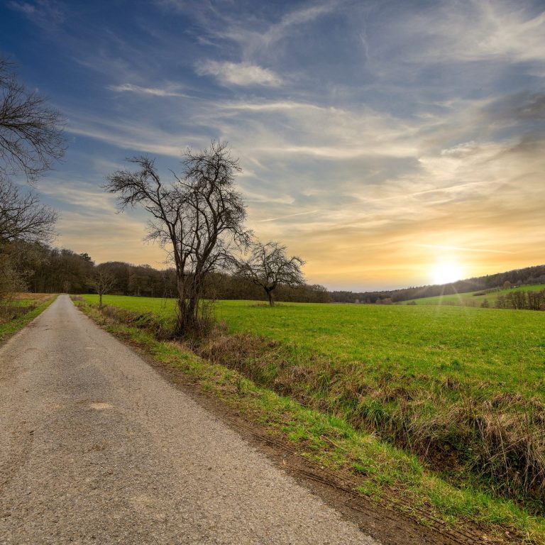Ein Waldweg in Kleinmünster in der Abendsonne